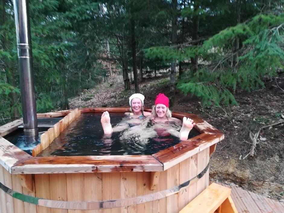 Pialous:Chalet en rondins avec Espace Détente La Chapelle-d'Aurec Extérieur photo