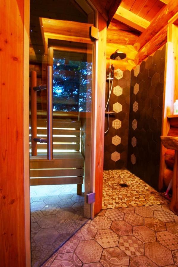 Pialous:Chalet en rondins avec Espace Détente La Chapelle-d'Aurec Extérieur photo
