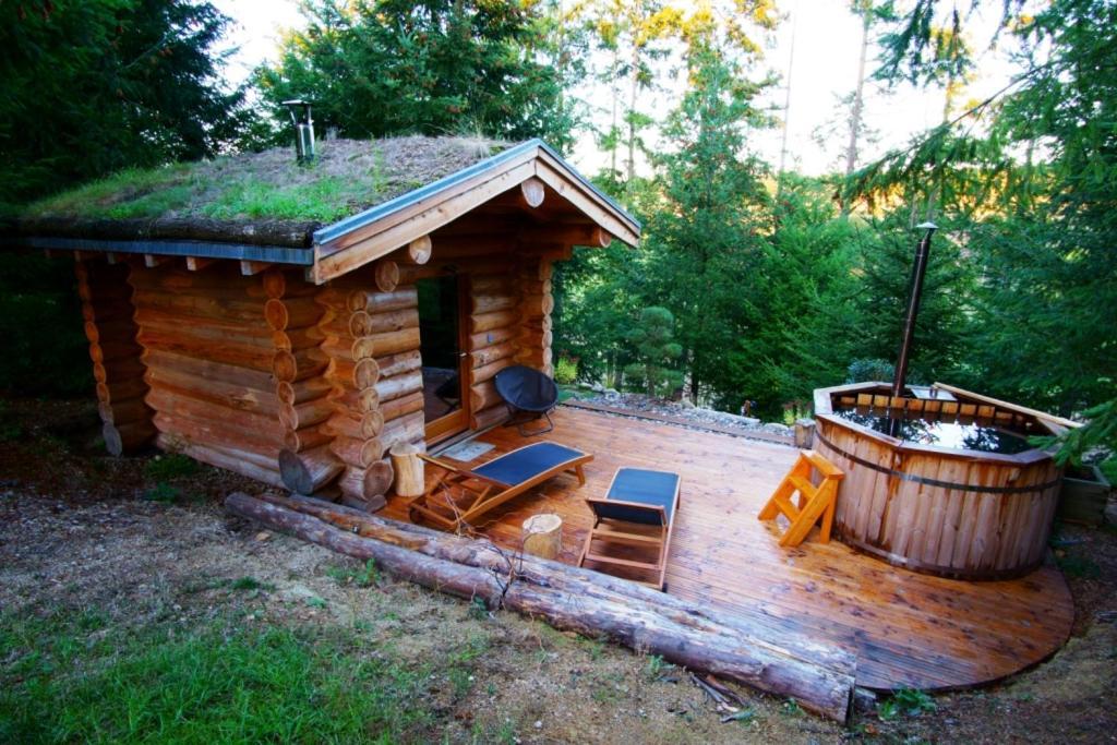Pialous:Chalet en rondins avec Espace Détente La Chapelle-d'Aurec Extérieur photo