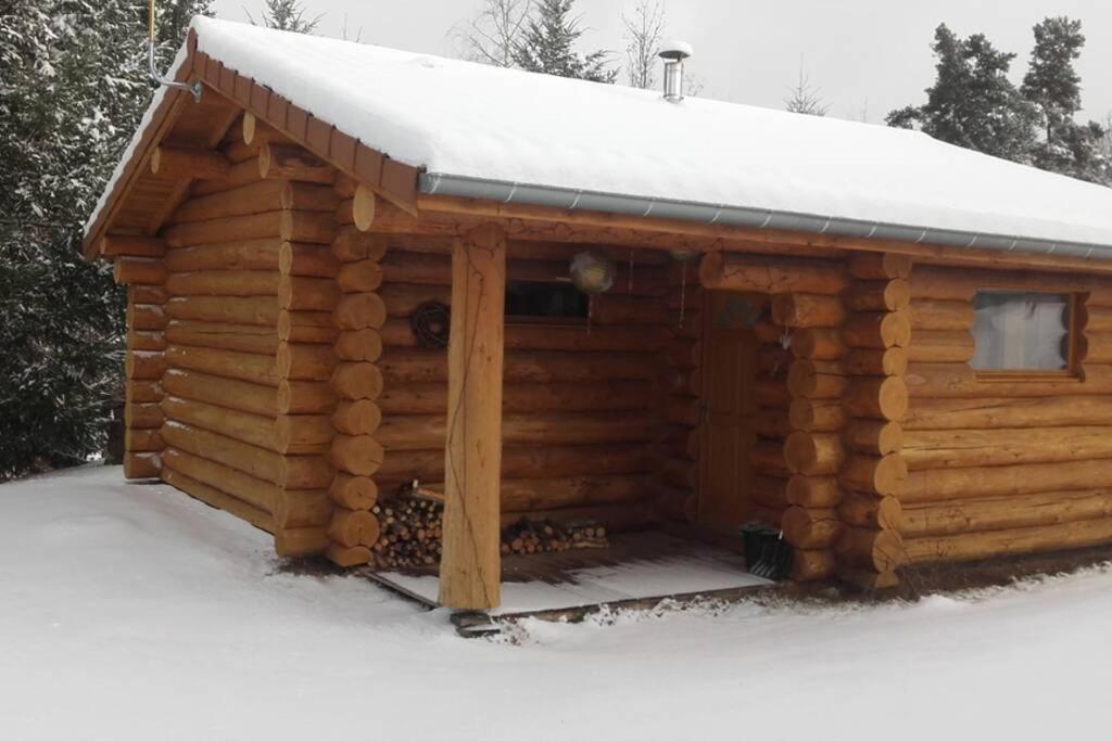 Pialous:Chalet en rondins avec Espace Détente La Chapelle-d'Aurec Extérieur photo