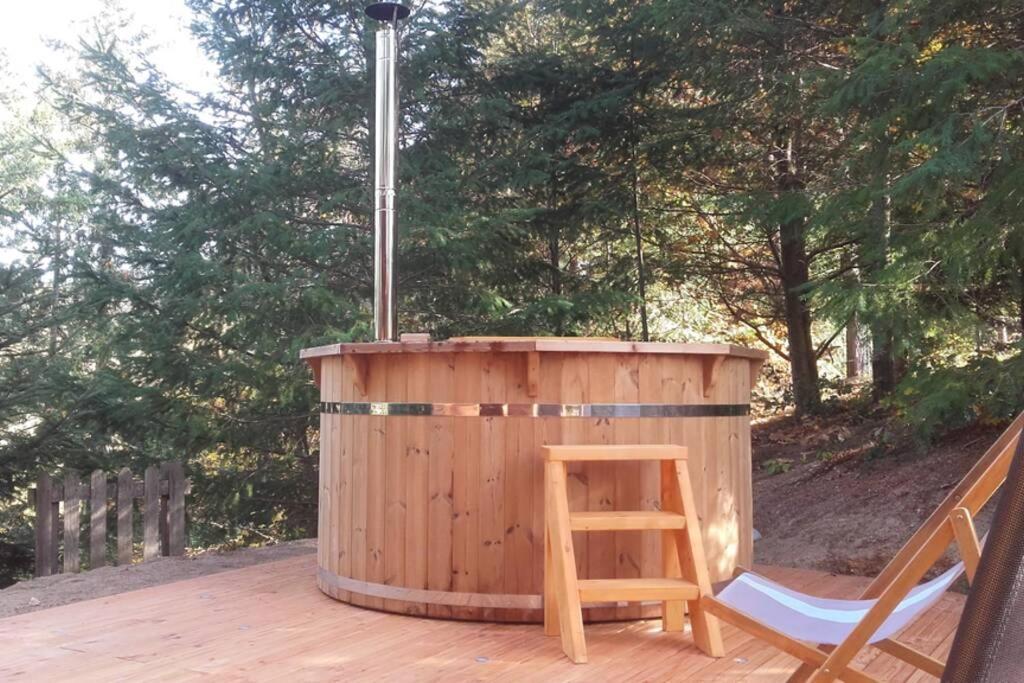 Pialous:Chalet en rondins avec Espace Détente La Chapelle-d'Aurec Extérieur photo